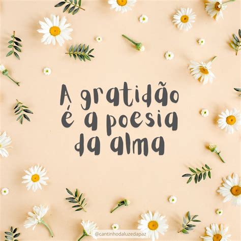 Frases e Mensagens de Gratidão