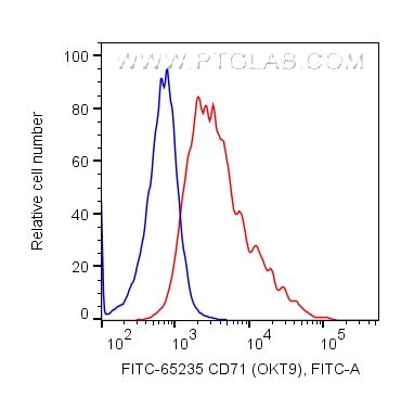 CD71 antibody FITC 65235 Proteintech 武汉三鹰生物技术有限公司