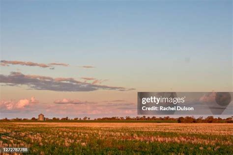 Surat Queensland Photos and Premium High Res Pictures - Getty Images