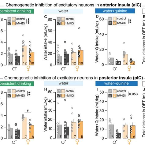 Coding properties of posterior insular cortex (pIC) excitatory neurons... | Download Scientific ...