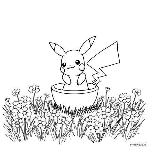 xy