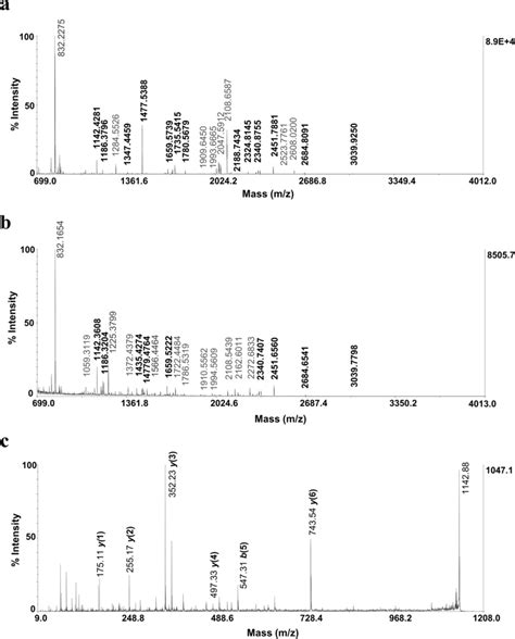 Mass Spectra Of Peptides Highlighted In Bold Corresponding To Download Scientific Diagram