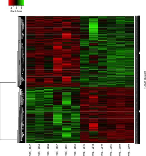 Heat Map Representing The Hierarchical Clustering Of Differentially