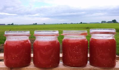 De Gulle Aarde Tomaten Wecken