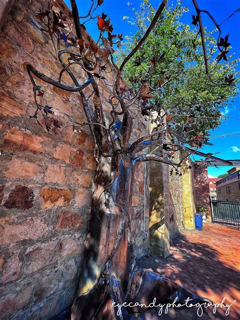 ‘Healing Tree’ breathes life into the community of Hazard, Kentucky