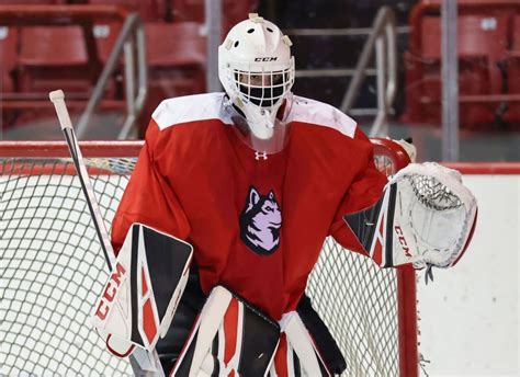 Sabres goalie prospect Devon Levi off to torrid start at Northeastern - Buffalo Hockey Beat