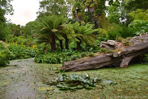 A Day Out At The Spectacular Abbotsbury Subtropical Gardens