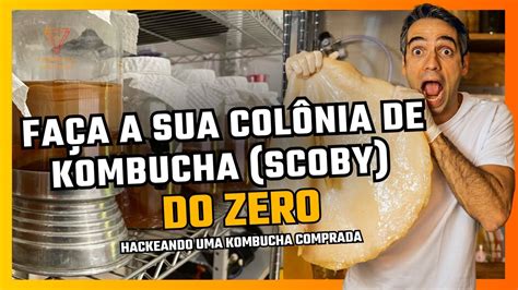 Como fazer seu próprio SCOBY de Kombucha TUTORIAL 2023 YouTube