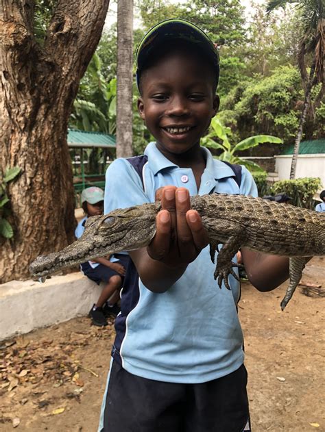 Year 1 trip to Mamba Village - Braeburn Mombasa International School