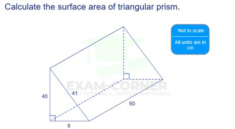 Geometry Area Perimeter And Volume Surface Area Triangular Prisms Exam Corner