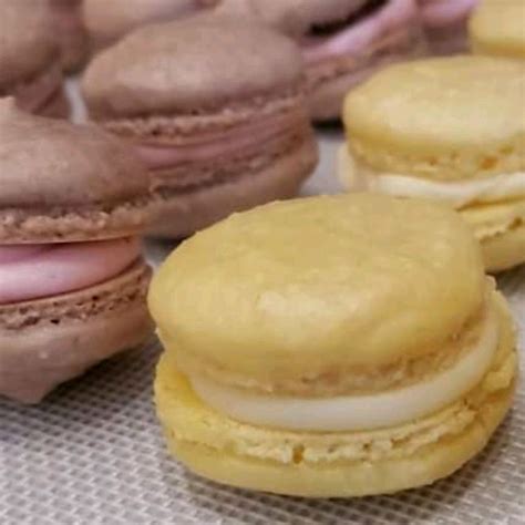 French Macaroons Recipe Allrecipes