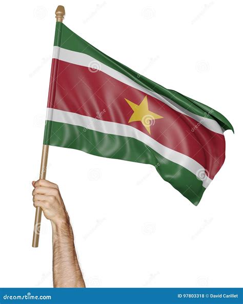 Dé Orgulloso Agitar La Bandera Nacional De Suriname Stock de