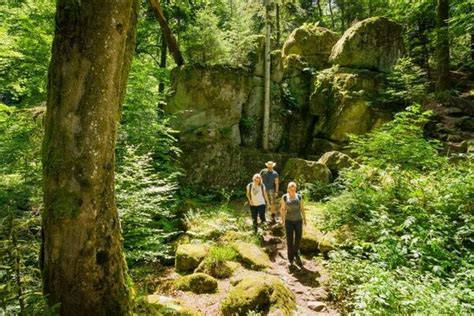 Vom Kaltenbronn Ber Den Wildsee Zur Gr Nh Tte Und Zum Sommerberg