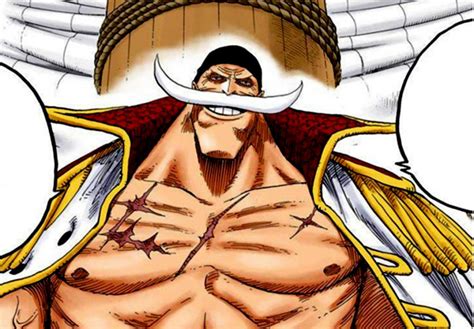 Who Killed Whitebeard? The Abnormal Conclusion Of The Paramount War ...