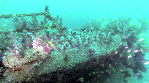 Exploring Inchcape Wrecks In Fujairah Nemo Diving Center