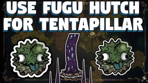 How To Use Hutch On Tentapillar In Don T Starve Together Don T Starve