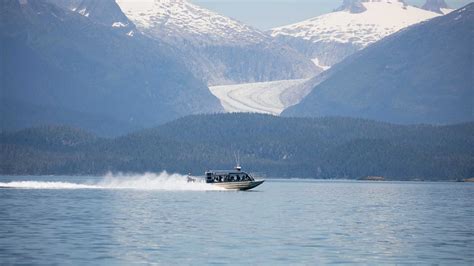 Mendenhall Glacier & Juneau Whale Watching Combo Tour - Juneau Tours ...