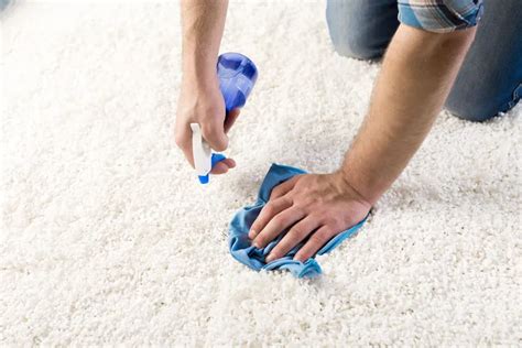 How To Get Paint Out Of Carpet Easily And Effectively