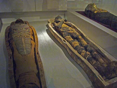 Manchester Museum Egyptian Mummies - 2008 | Egyptian mummies… | Flickr