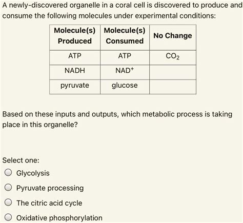 Oxidative Phosphorylation Inputs And Outputs