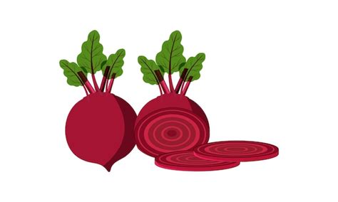 Premium Vector Beetroot Vector Design And Illustration