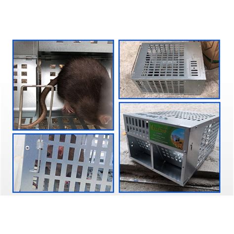 Piège nuisible Piège à souris automatique à Double porte Cage à rats