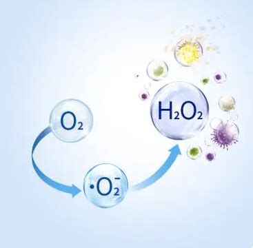 L-Ascorbic Acid extract Prices,Sales - L-Ascorbic Acid extract ...