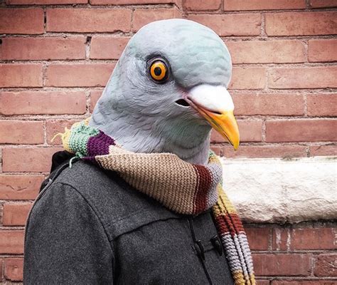 Pigeon Mask | HolyCool.net