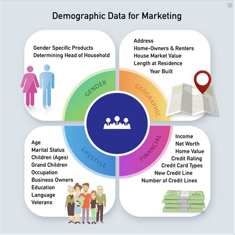 Demographics Meaning