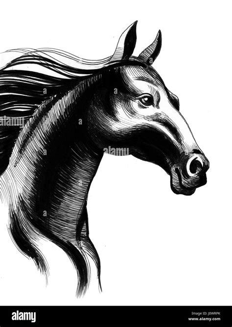 Horse sketch hi-res stock photography and images - Alamy