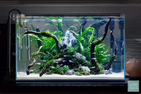 Ultum Nature Systems Rimless Standard Glass Aquarium Tank