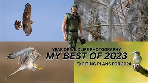 WILDLIFE PHOTOGRAPHY PLANS For 2024 My YEAR Of Wildlife Photography