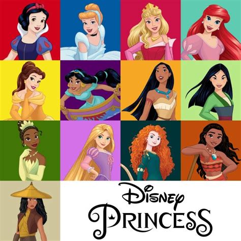 The 13 Official Princess As Of 2021 Disney Princess Disney Princess Movies Disney Princess