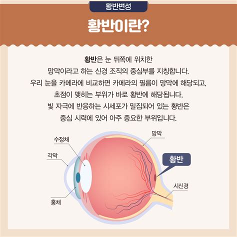 건강매거진 건강정보 가톨릭대학교 여의도성모병원