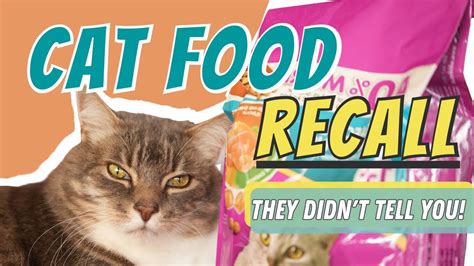 Are There Any Cat Food Recalls In 2021? All Answers - Ecurrencythailand.com