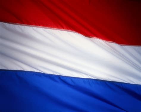 Image - Dutch Flag.jpg - One Direction Wiki