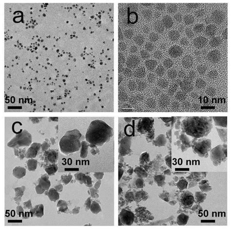 一种复合荧光纳米探针的制备方法及其体内应用与流程