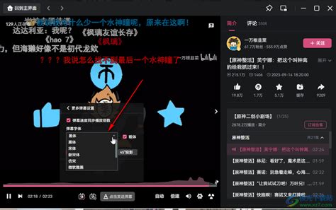 B站弹幕字体大小怎么设置 哔哩哔哩电脑版调整弹幕字体大小的方法教程 极光下载站