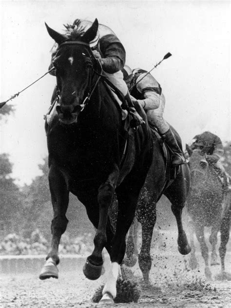 Tragedy of racing legend ruffian still evokes reaction decades later ...