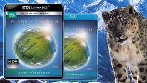 Detalles Finales De Planeta Tierra Ii En Blu Ray Y Uhd K