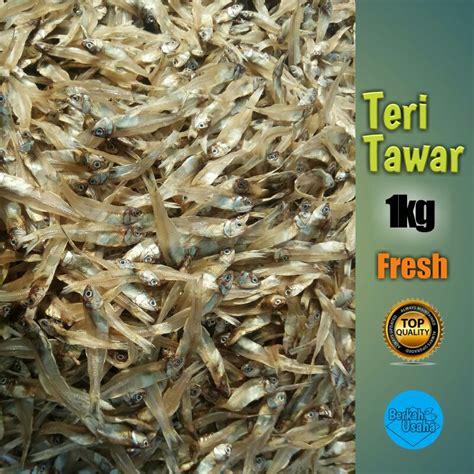 Jual IKAN TERI TAWAR TULANG BAWANG 1KG IKAN TERI KERING TERI GEPENG