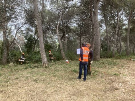 L Ajuntament Continua Amb Les Tasques De Manteniment I Protecci De