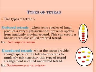 Tetrad analysis by rk | PPT