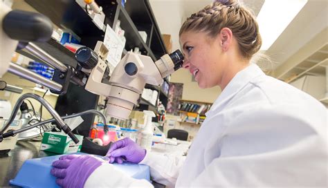 Biomedical Sciences Research Ms Macon And Joan Brock Virginia Health