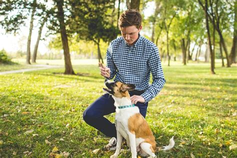 Quanto Ganha Um Adestrador De Cães - Adestrador de Cães: quanto ganha e o que faz esse profissional! - Educa ...
