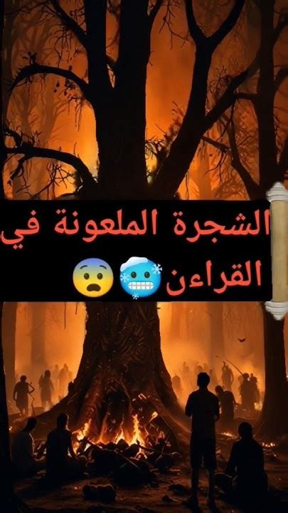 شجرة الزقوم طعام الاثيم 😨😨 Youtube