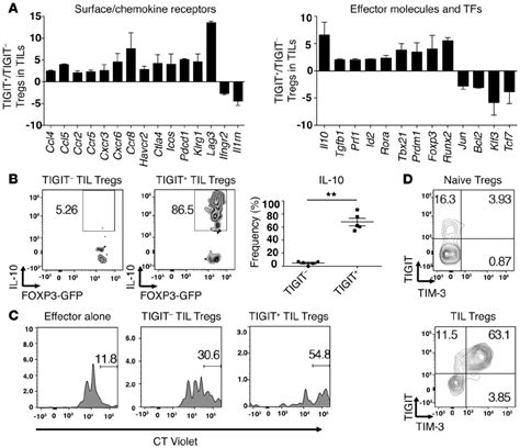 TIGIT Tregs In The Tumor Tissue Exhibit A More Suppressive And