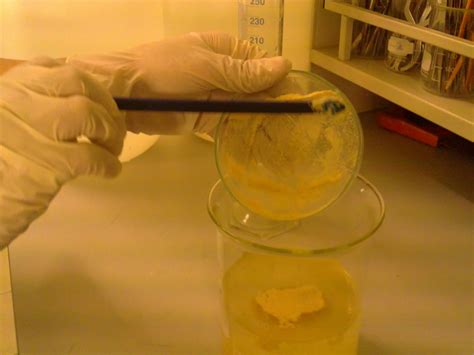 world of science: Nutrient Agar Preparation