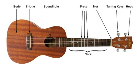 Ukulele For You Uke 4 Ukulele Anatomy