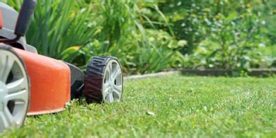 Leash-Free Mississauga Grass Cutting Schedule - Leash-Free Mississauga